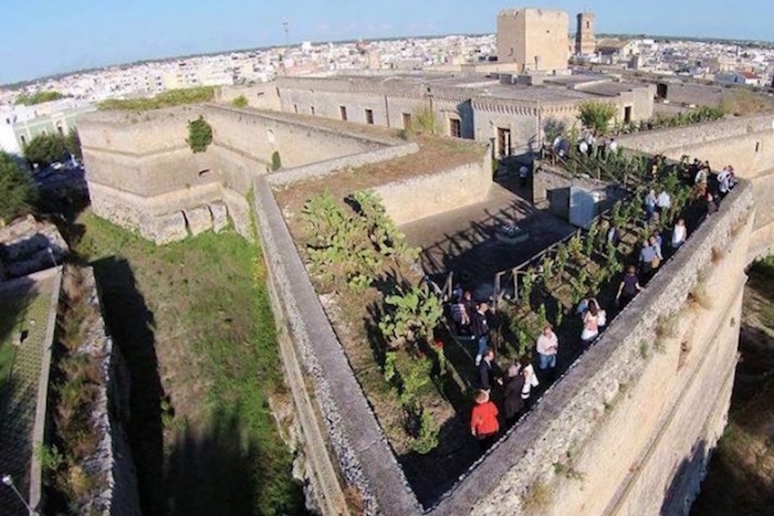 The Cupertinum Vineyard on the Castle: the first and only in the world!