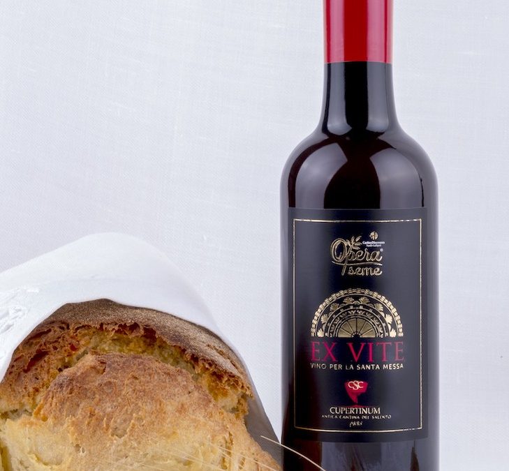 Ex Vite, Salento’s wine for Holy Mass is born Ex Vite￼