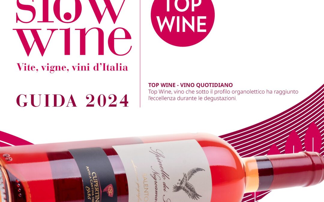 Lo Spinello dei Falconi è “TopWine” per SlowWine 2024